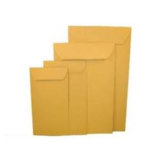 Sobre bolsa MANILA 13x25cm.x100un.