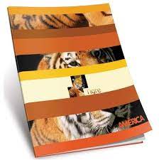 Cuaderno  Tapa Flexible x48hjs.(15/45/90)**