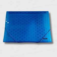 Clasificador A4 c/elastico 12divisiones