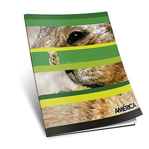 Cuaderno América tapa flexible 48 hojas rayado